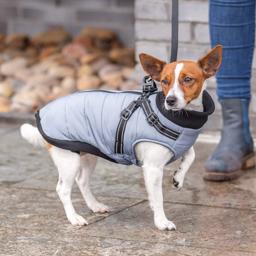 Trixie Pontis Hundjacka med inbyggd sele i grått